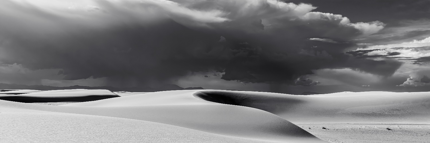 Alexander Stross banner