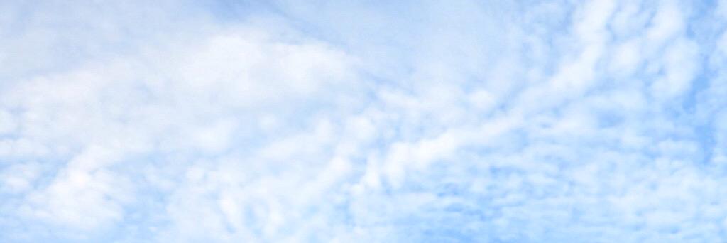Yuen Teng´͈ ᵕ `͈ ♡° banner