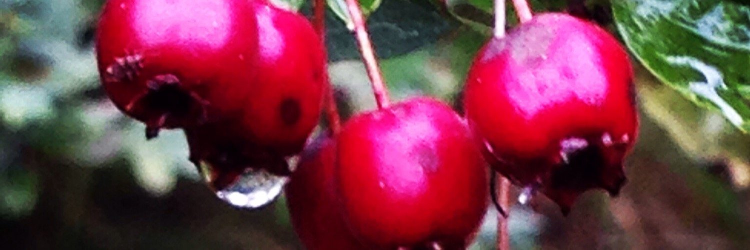 sammip78's profile banner image
