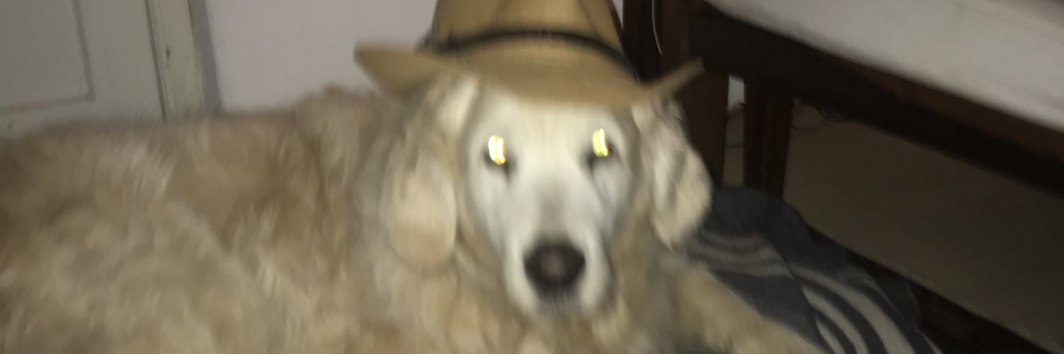 TerryPogger's profile banner image
