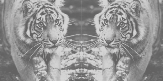 Calum_PL's profile banner image