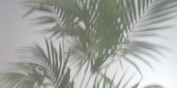 evaniwgdr's profile banner image