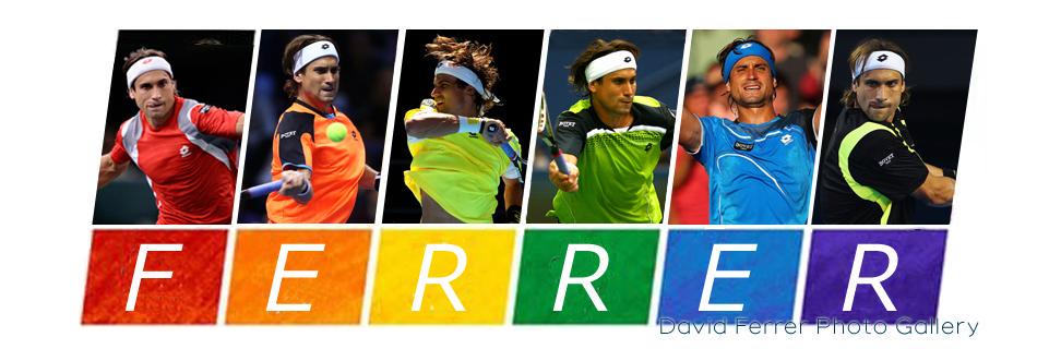 David Ferrer Galería banner