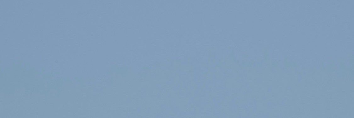 a. banner