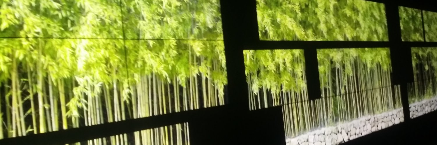 taimoor_39's profile banner image