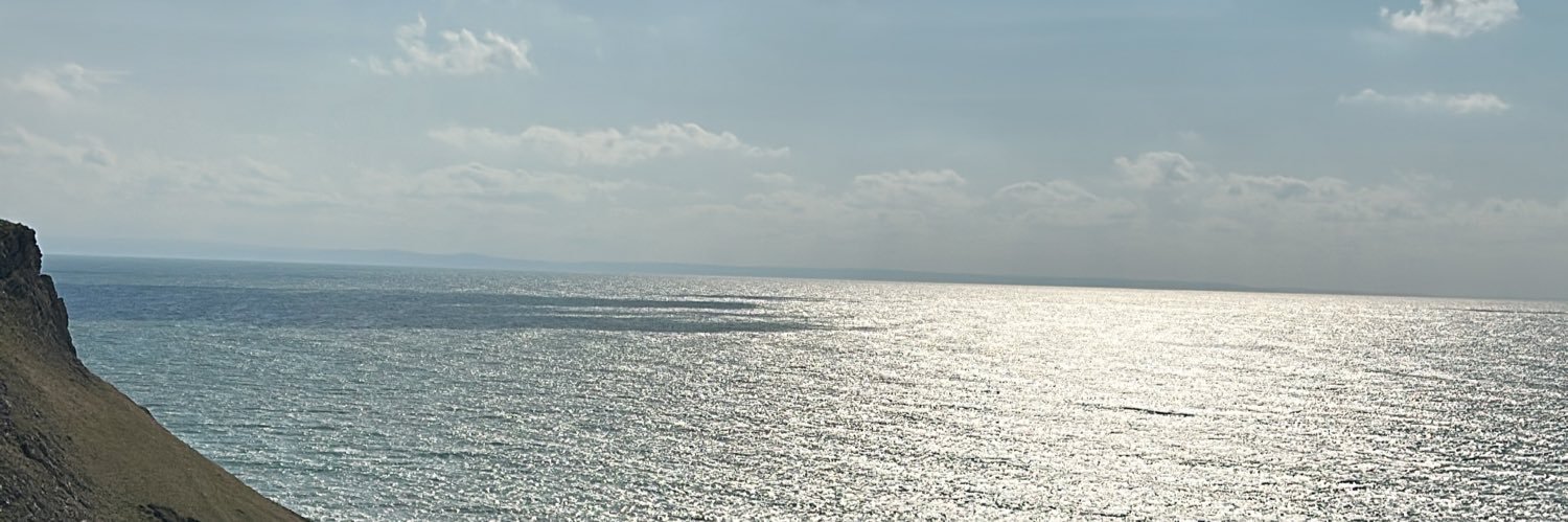 TheHelenJenkins's profile banner image
