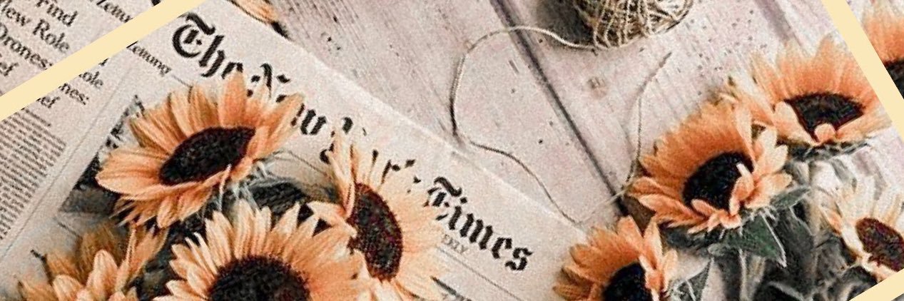 MennenLiz's profile banner image