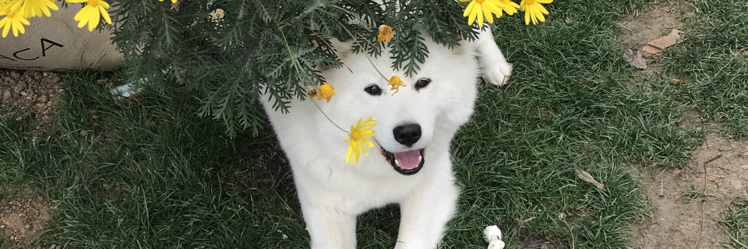 melisaaaoglu's profile banner image
