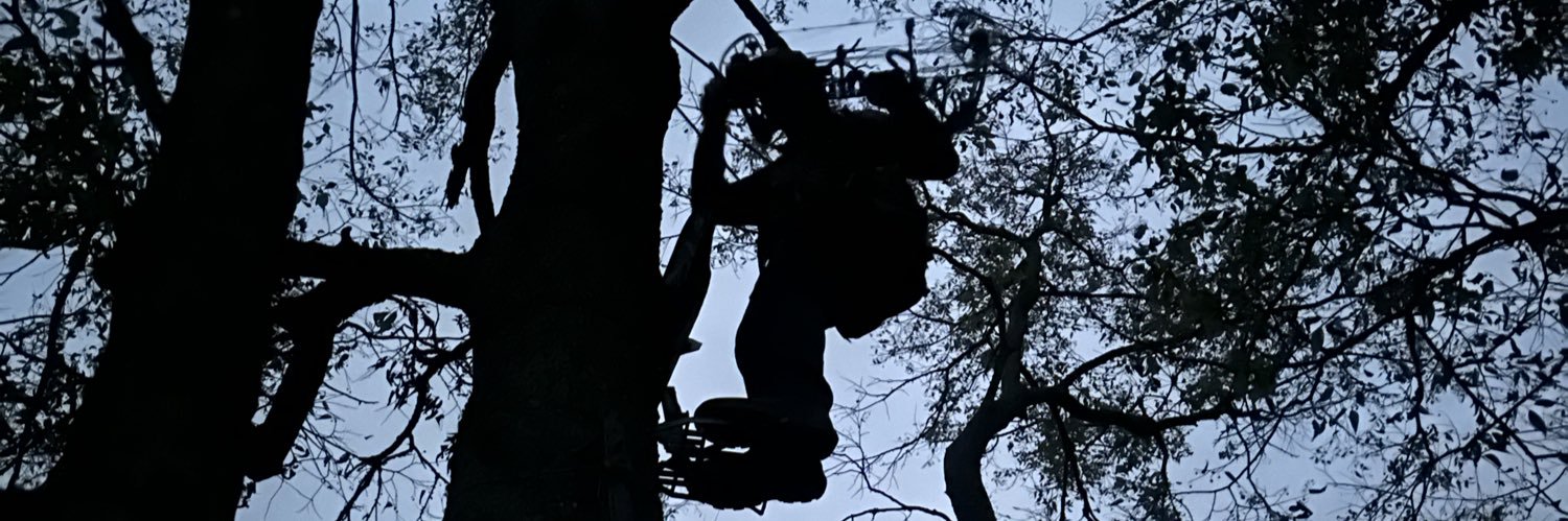 camchesher's profile banner image