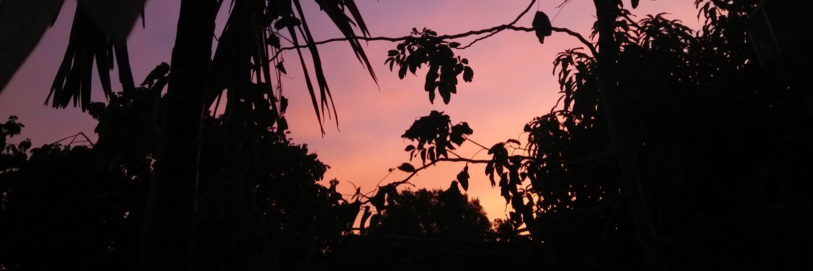 BL_Tanyayanu's profile banner image