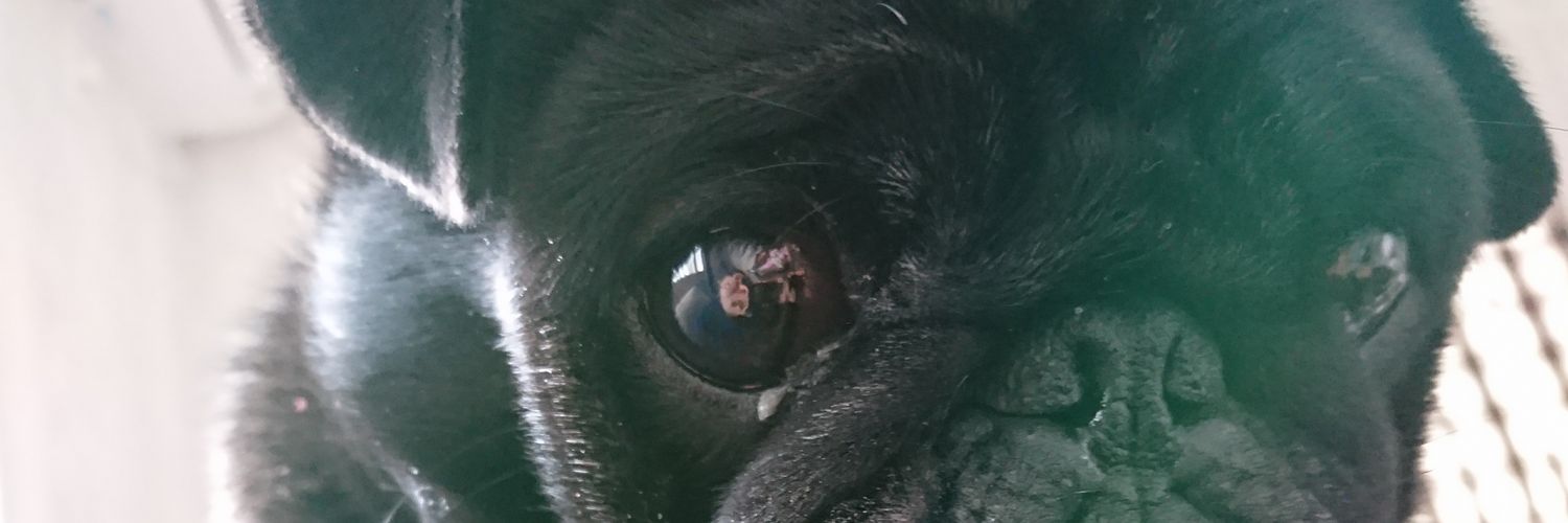 agijeyei's profile banner image