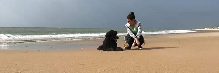 LauraRodri92's profile banner image