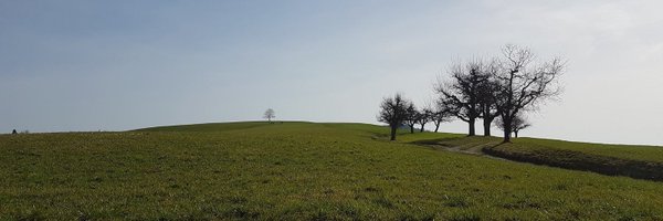 kaidolepik Profile Banner