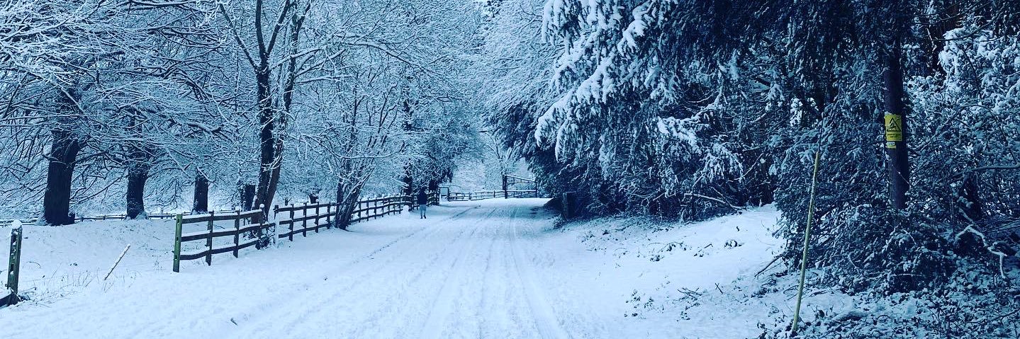 Steve Williams banner