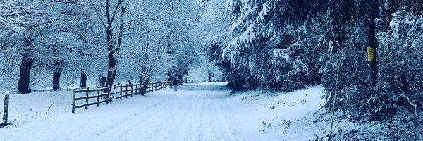 GiantChimp Profile Banner