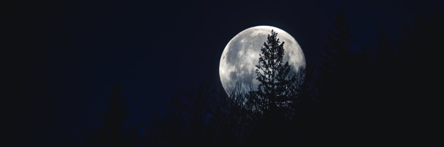 Raychhthompson's profile banner image