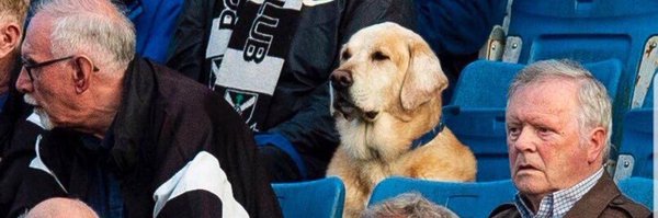 Gavin_Ingham Profile Banner