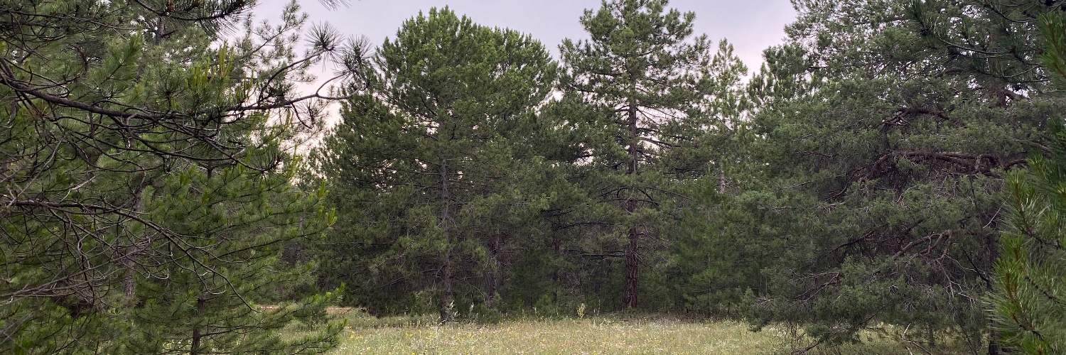 isothelt's profile banner image