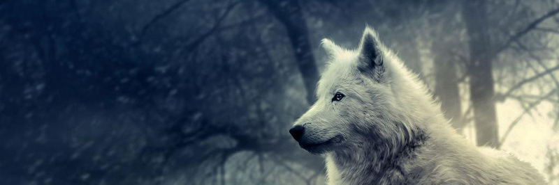 wowitskb's profile banner image