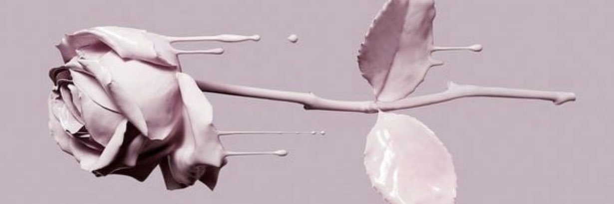 shGyPLA's profile banner image