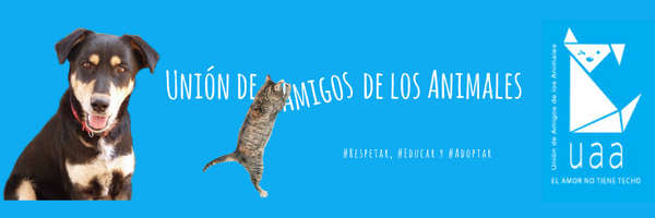 UaaChile Profile Banner