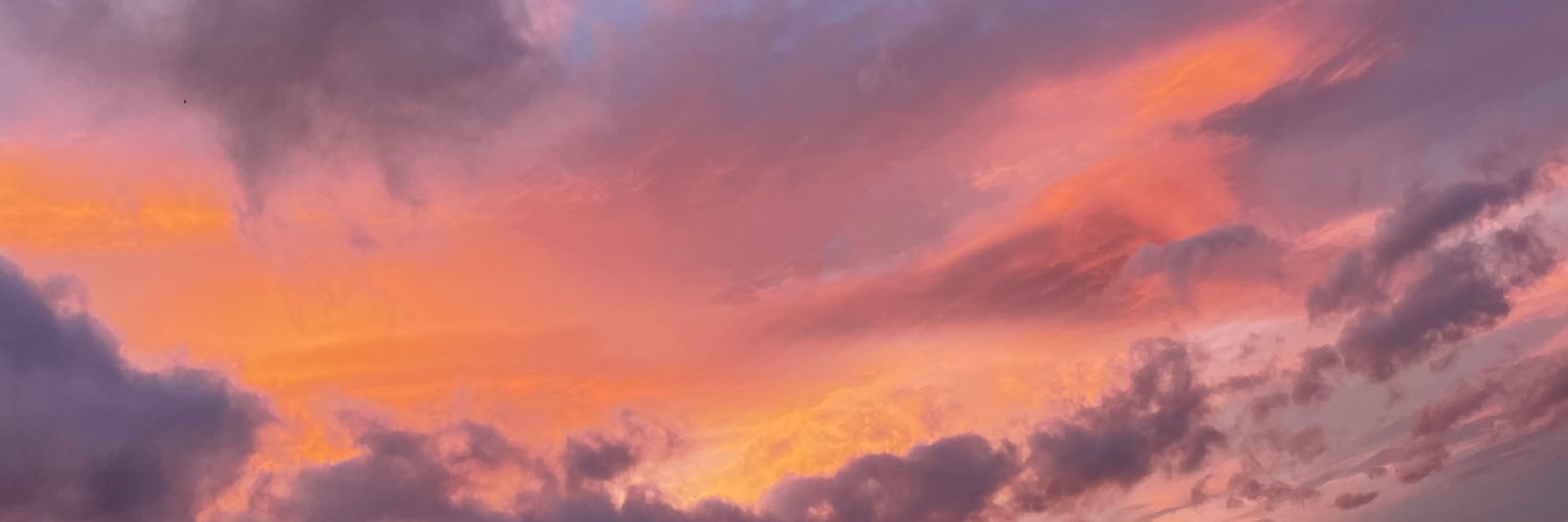 AlienorPe's profile banner image