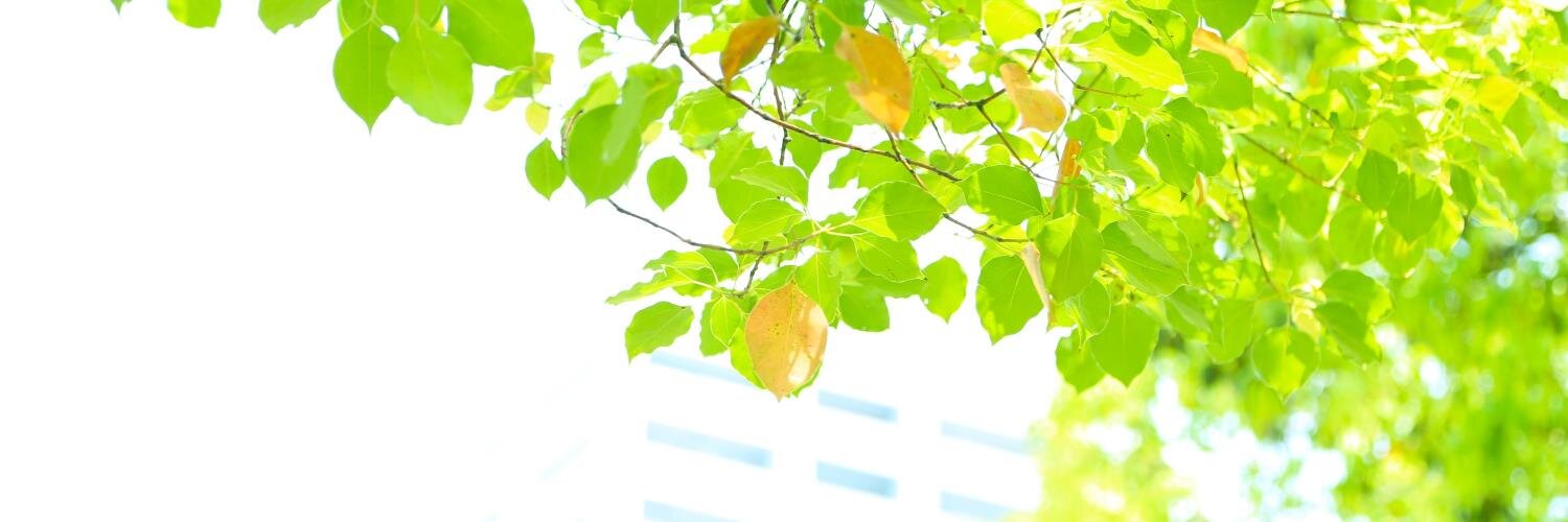keitmos's profile banner image