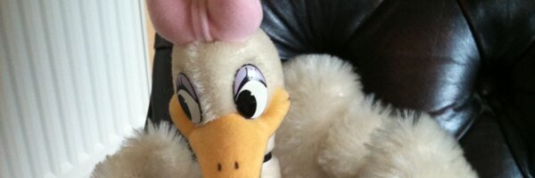 Suecookie Profile Banner