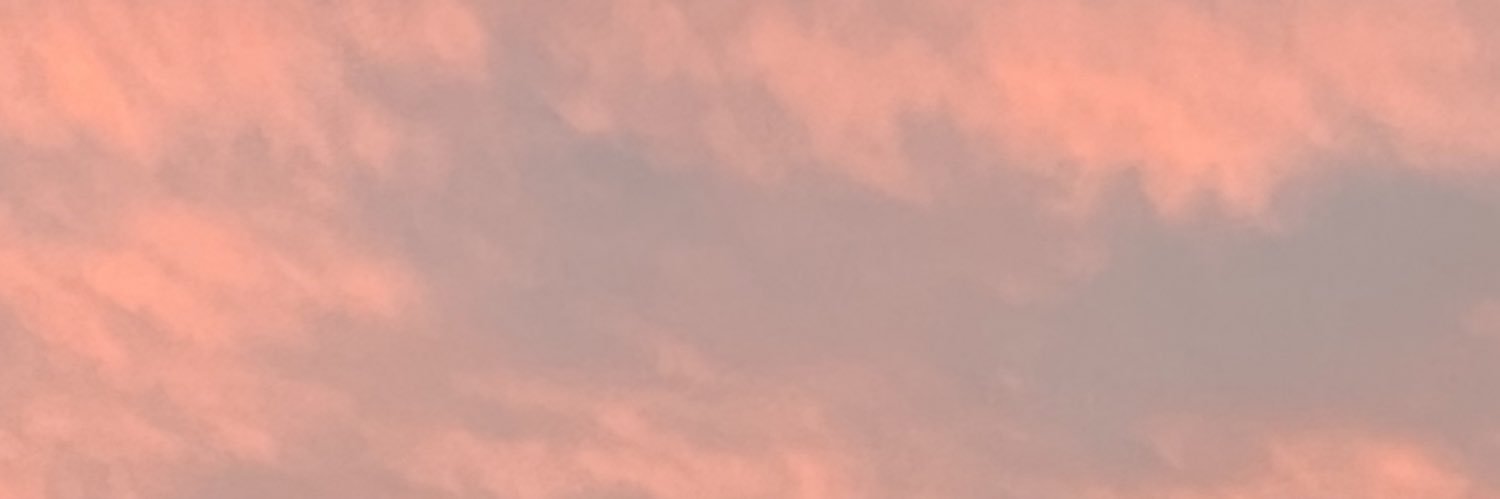ontRITZ's profile banner image