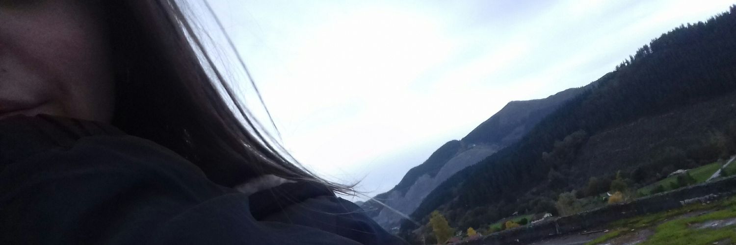 HEtxebarria's profile banner image