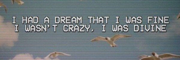 ShanReece Profile Banner