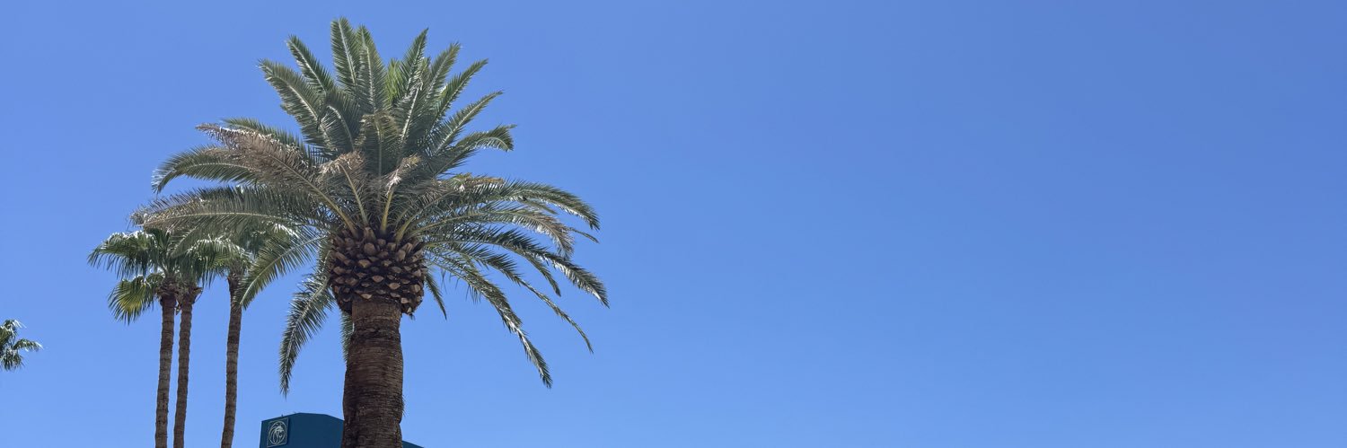 sloanecape's profile banner image