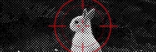 chisa banner