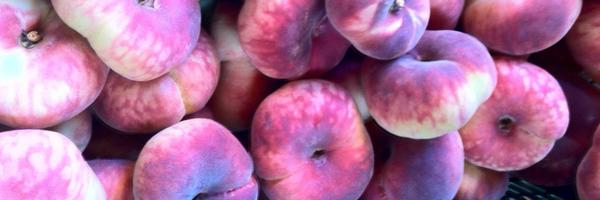 BobetRa Profile Banner