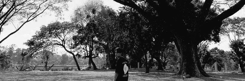 cosmceling's profile banner image
