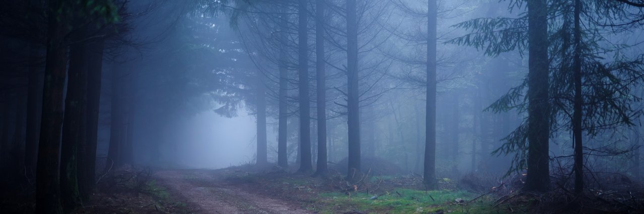 LucianoPeranni's profile banner image