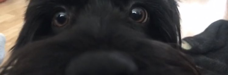 TylerxMoore's profile banner image