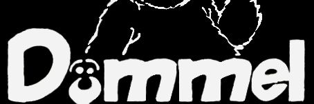 Dommel banner