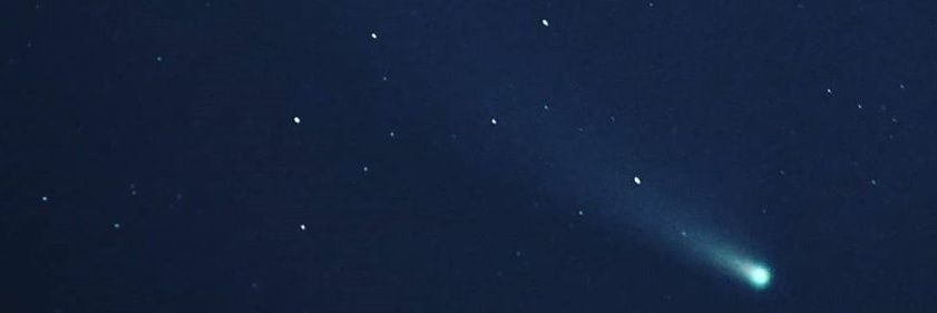 Bee banner