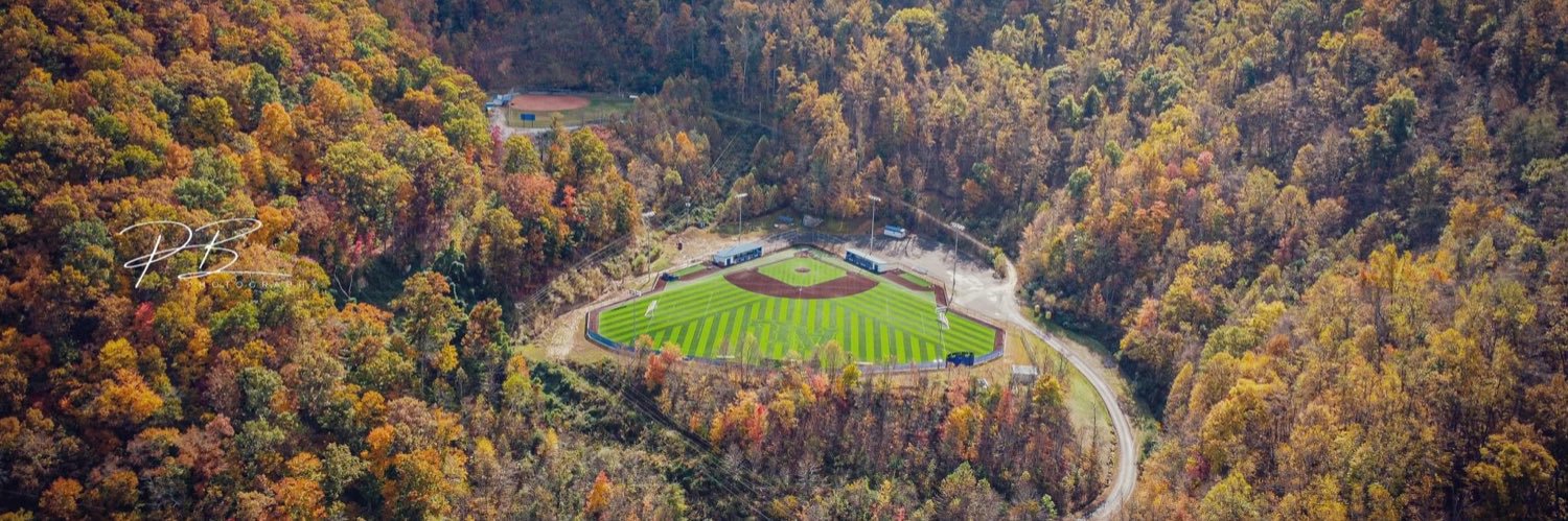 Alice Lloyd Baseball banner