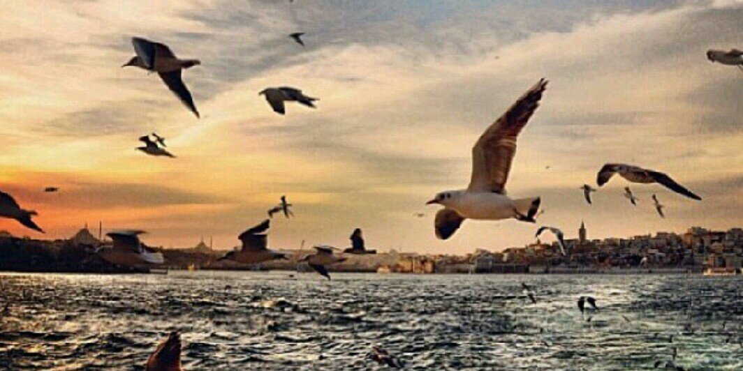 sahar141341's profile banner image