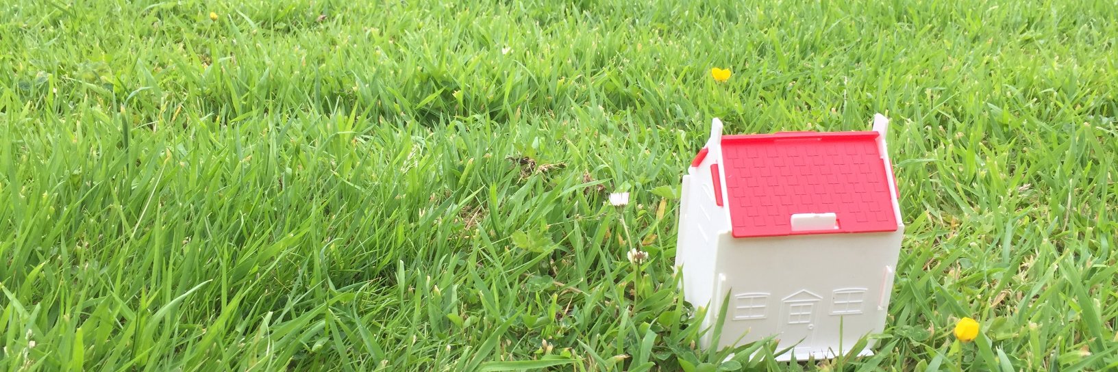GreenHomeIrl's profile banner image