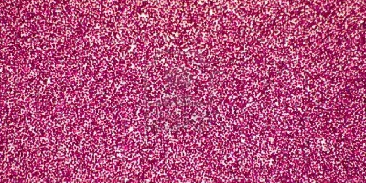 NorthernBelleTM's profile banner image
