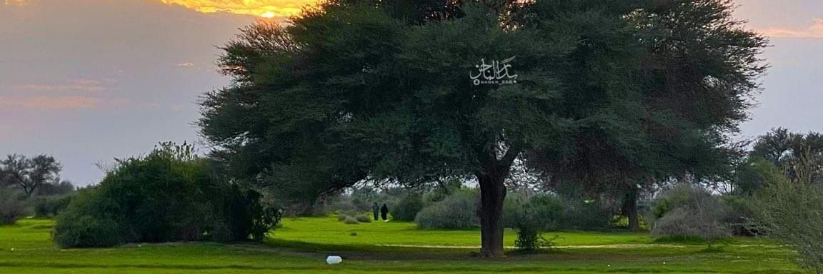 mohamd0788's profile banner image