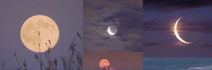 BrionaCurrie's profile banner image