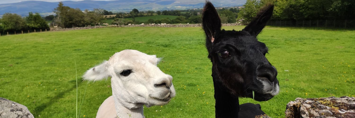 matbob147 💙🏴󠁧󠁢󠁷󠁬󠁳󠁿⚒️ banner