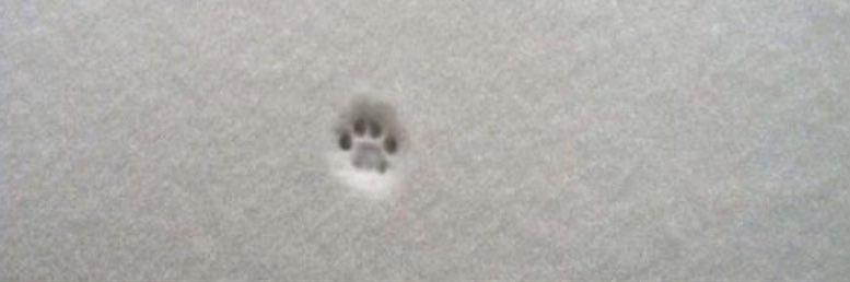 meeead98's profile banner image