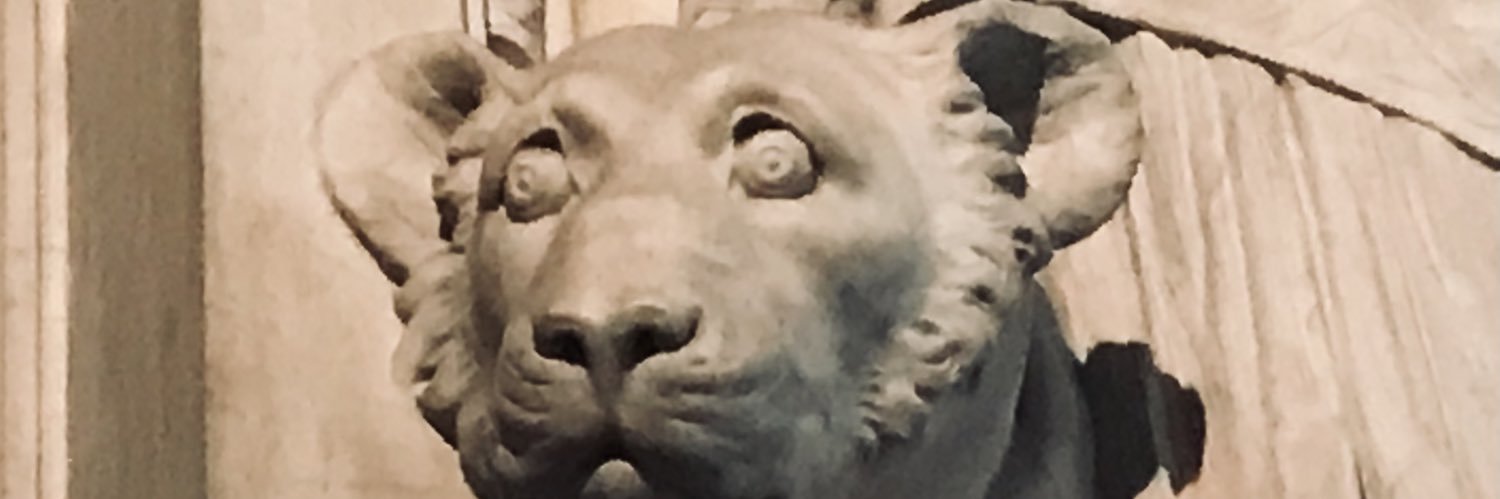 emkooij's profile banner image