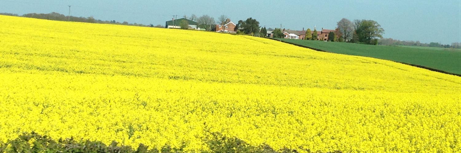 Syun@駆け出し通訳案内士🫡 banner