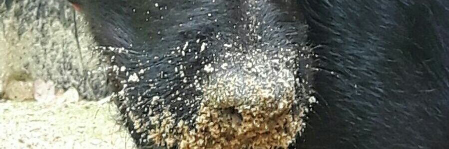 minimarylou's profile banner image
